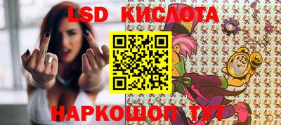 spice Новодвинск