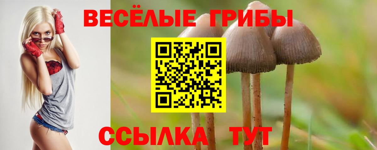 Псилоцибиновые грибы Psilocybine cubensis  купить  сайты  Уварово  Вход с VPN 